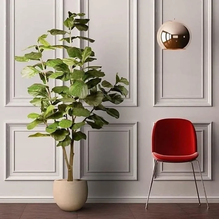 معلم فوم جدران, براويز فوم, بانوهات في حي الوادي بالرياض